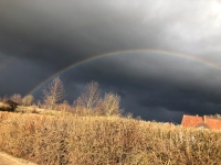 Regenbogen7_2023_Januar.jpg